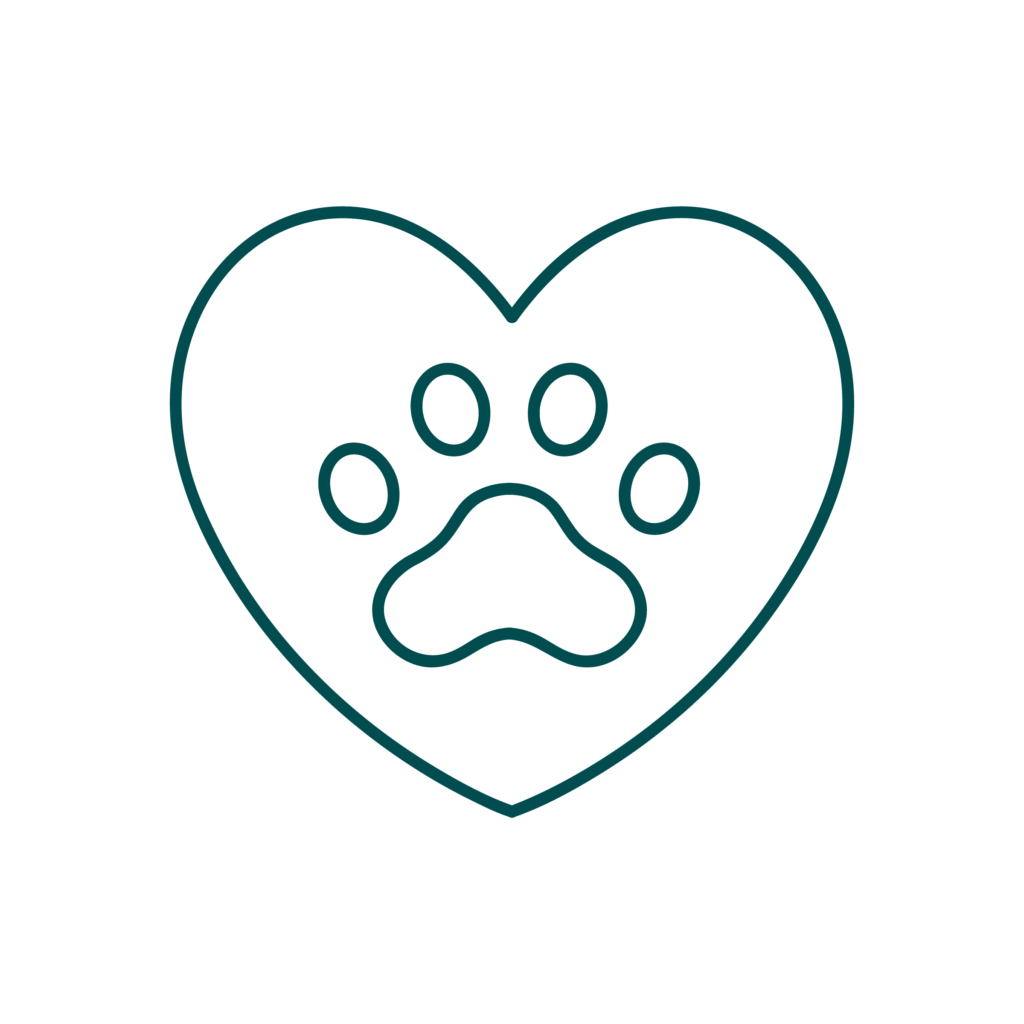 CARDIOLOGIA Icona illustrativa del servizio di cardiologia dell'Ospedale veterinario San Francesco di Milano