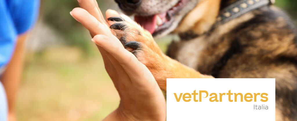 Cane che da la zampa_VetPartners Italia Primo piano di una mano di una persona che batte il cinque alla zampa di un cane. In basso a destra il logo di VetPartners Italia
