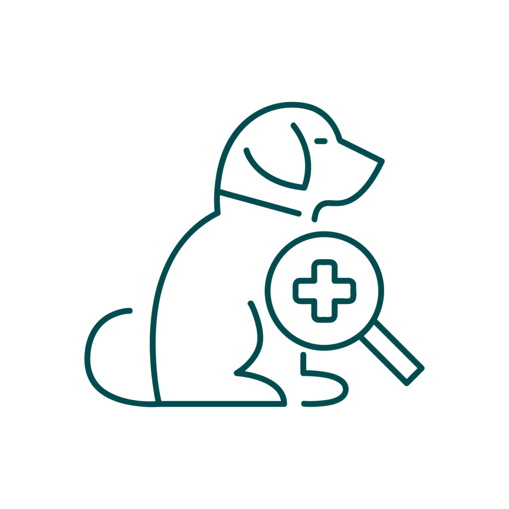 DERMATOLOGIA Icona illustrativa del servizio di dermatologia dell'Ospedale veterinario San Francesco di Milano