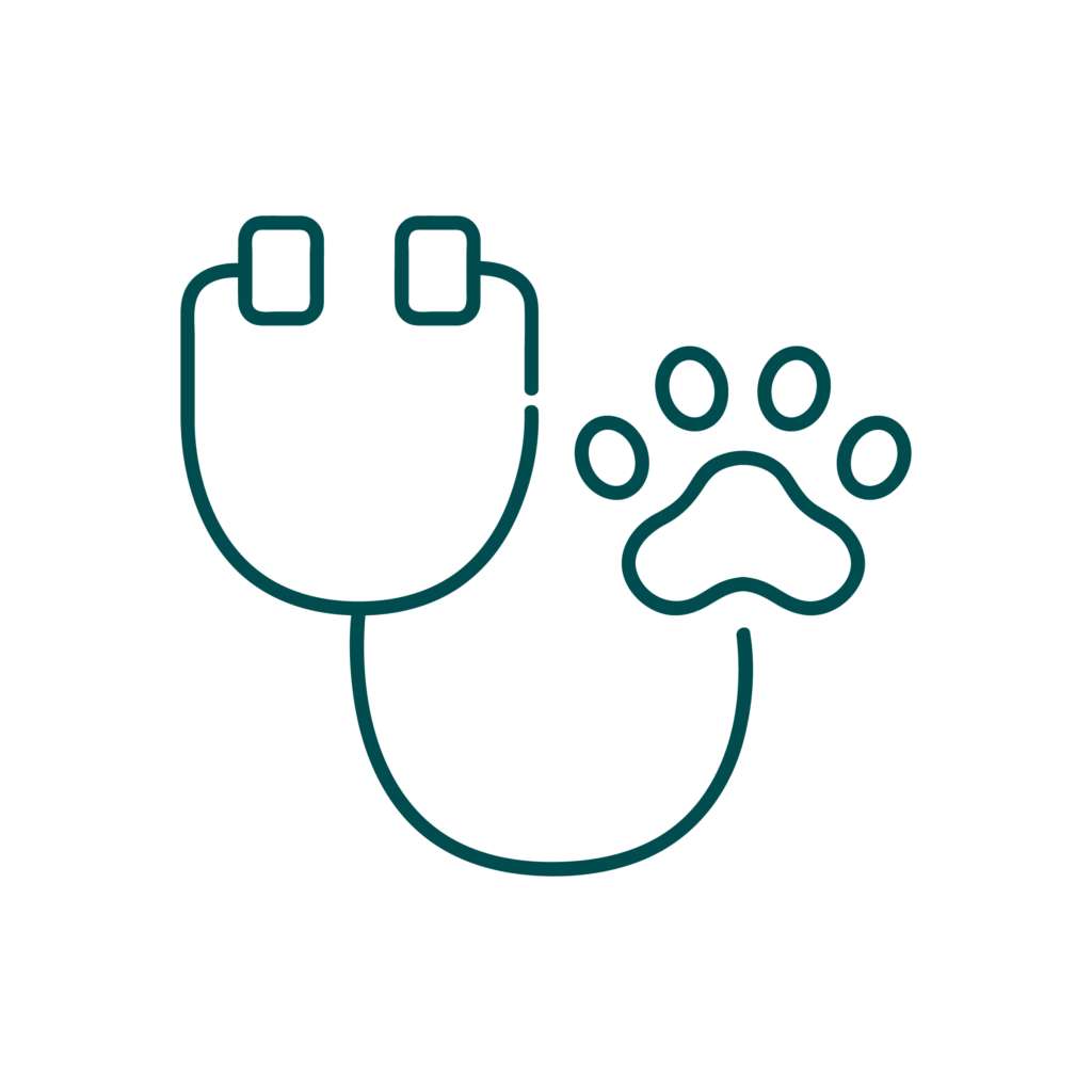 ECOCARDIOGRAFIA Icona illustrativa del servizio di ecocardiografia dell'Ospedale veterinario San Francesco di Milano