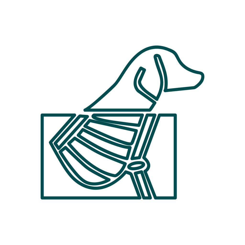 RADIOLOGIA Icona illustrativa del servizio di radiologia dell'Ospedale veterinario San Francesco di Milano