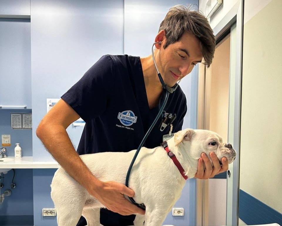 gastroenterologia_veterinaria_ospedale_veterinario_san_francesco Gastroenterologia veterinaria all'Ospedale Veterinario San Francesco
