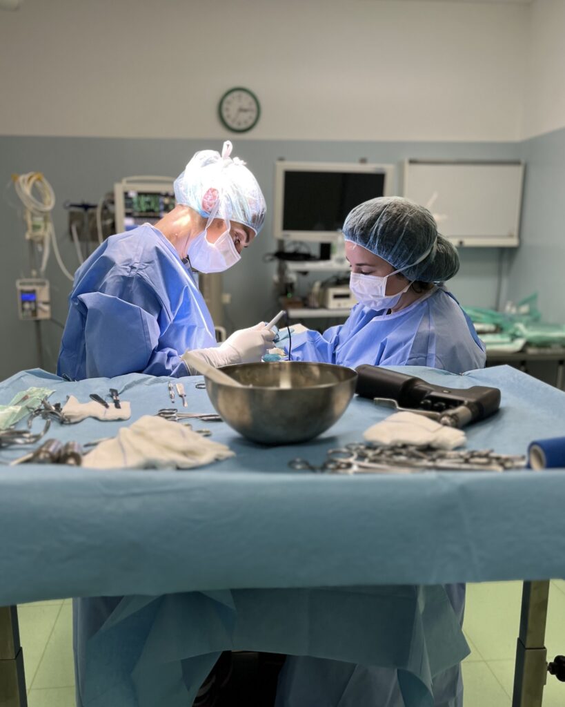 neurochirurgia_ospedale_veterinario_san_francesco_milano Neurochirurgia all'Ospedale Veterinario San Francesco