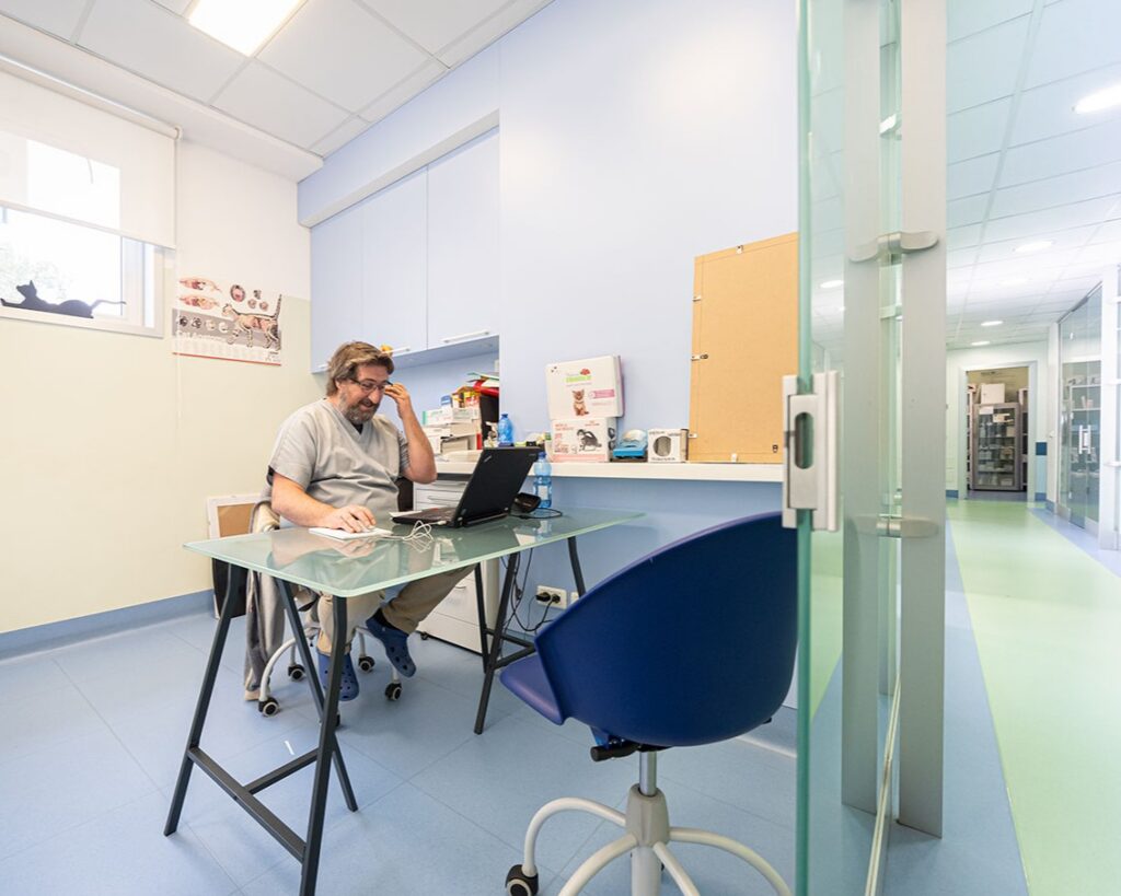 sala_visita_ospedale_veterinario_san_francesco_milano Un medico veterinario dell'Ospedale Veterinario San Francesco di Milano al computer in una delle sale visita dell'ospedale