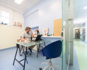 Un medico veterinario dell'Ospedale Veterinario San Francesco di Milano al computer in una delle sale visita dell'ospedale