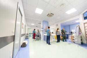 Spazi interni dedicati ai veterinari dell'Ospedale Veterinario San Francesco di Milano