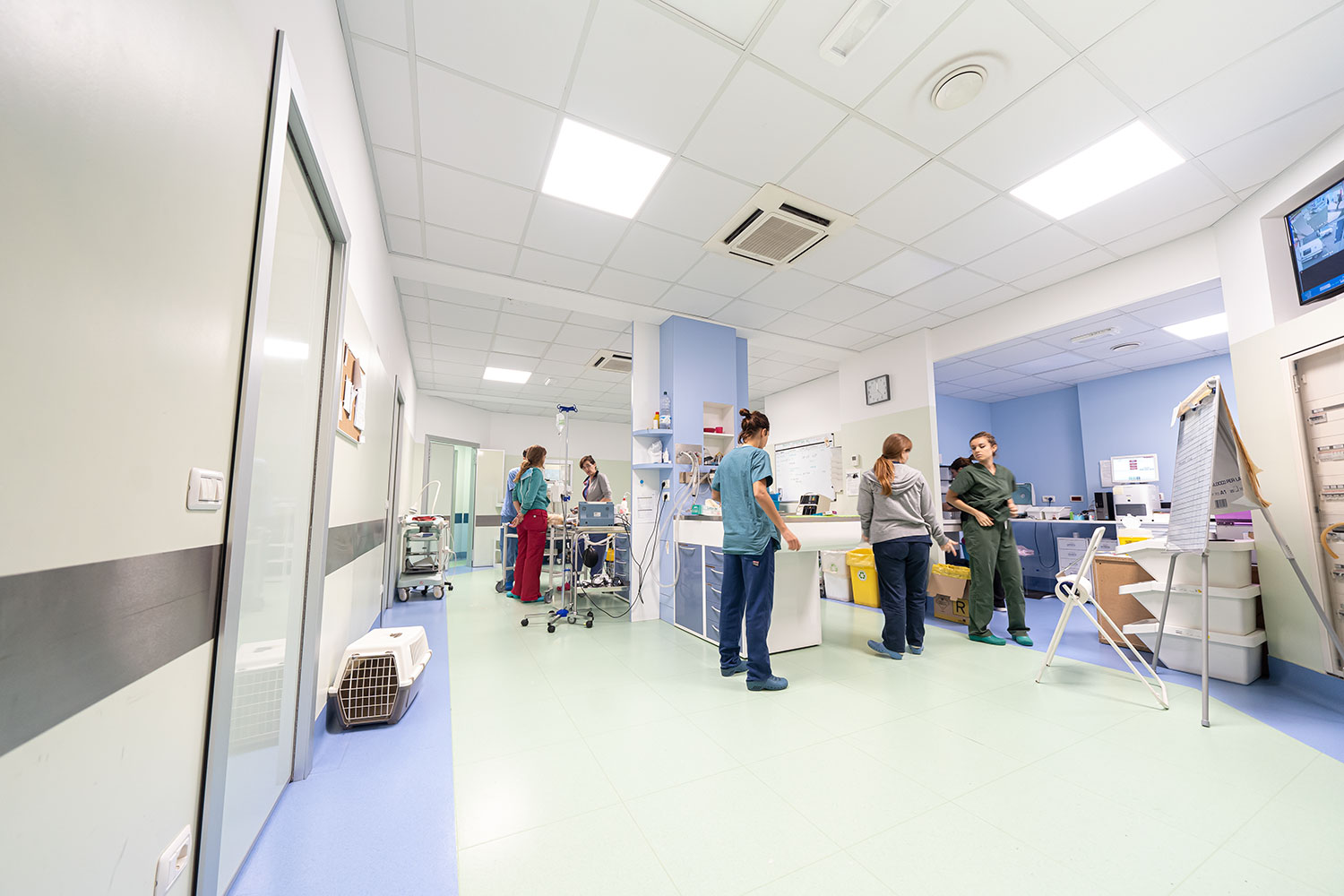 Spazi interni dedicati ai veterinari dell'Ospedale Veterinario San Francesco di Milano