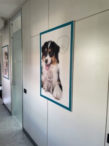 Corridoio interno dell'Ospedale Veterinario San Francesco di Milano