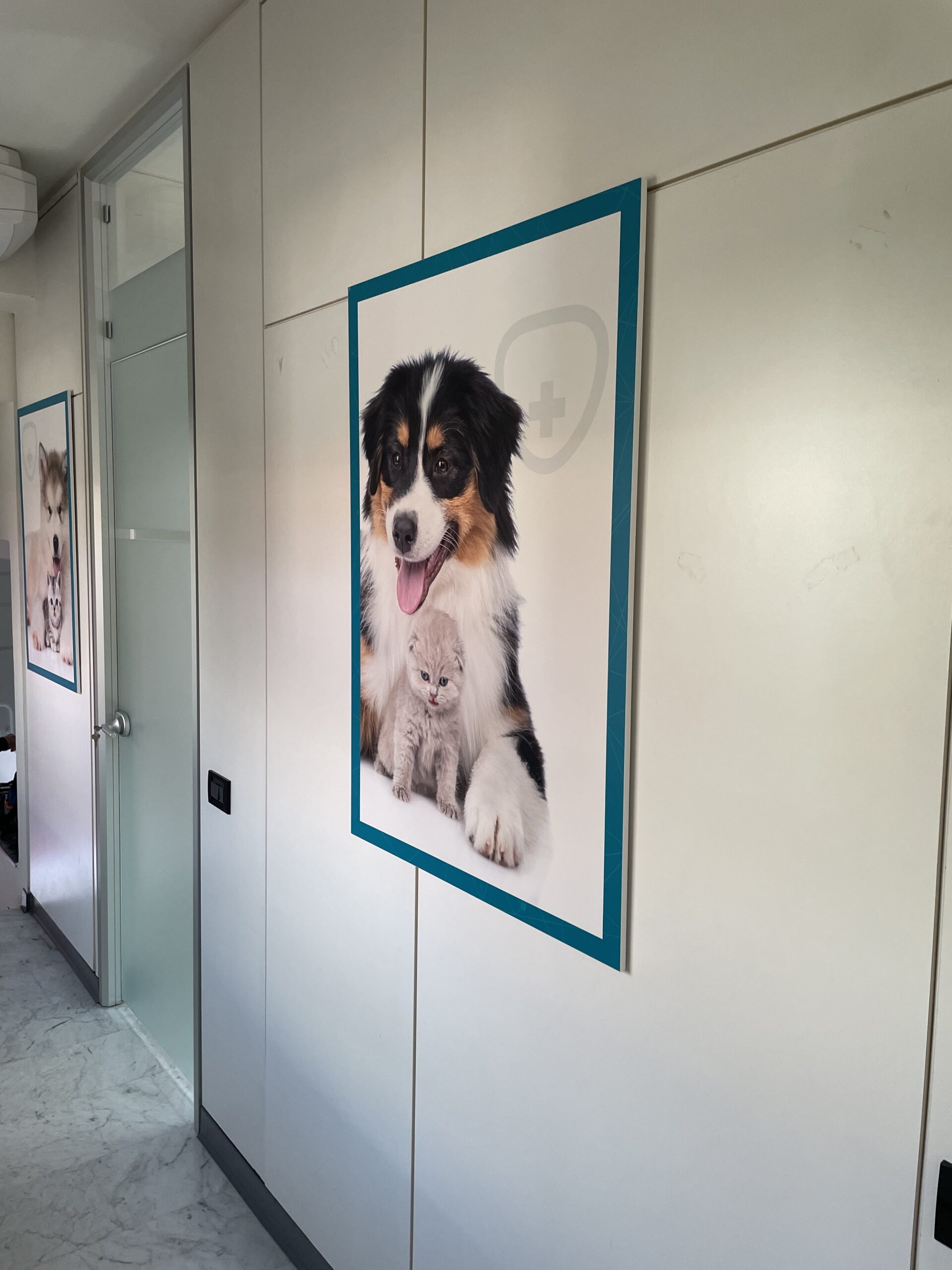 Corridoio interno dell'Ospedale Veterinario San Francesco di Milano