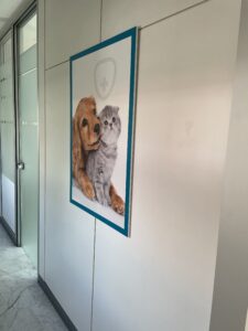 Corridoio interno dell'Ospedale Veterinario San Francesco di Milano